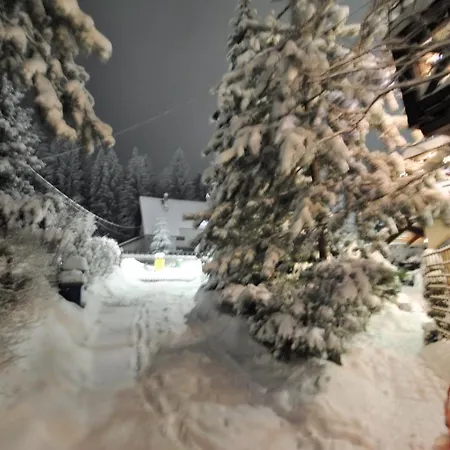 Szyszka 卡尔帕奇